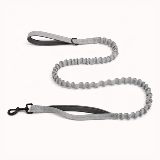 HerPet Bungee Dog Lead