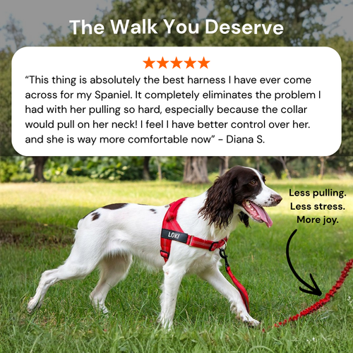 HerPet No Pull Dog Harness