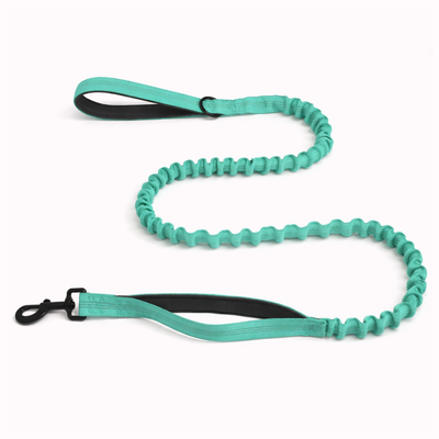 HerPet Bungee Dog Lead