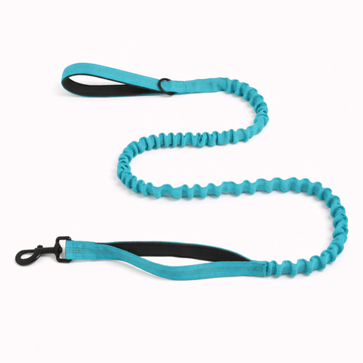 HerPet Bungee Dog Lead