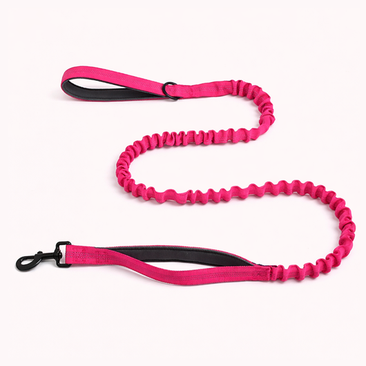 HerPet Bungee Dog Lead