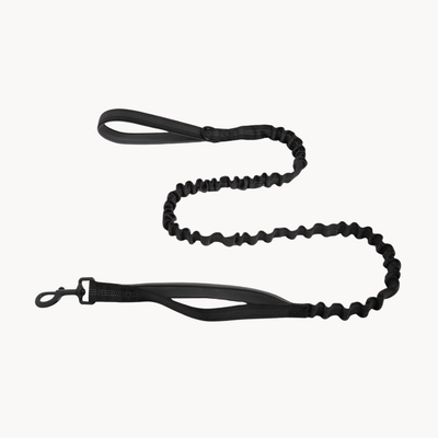 HerPet Bungee Dog Lead