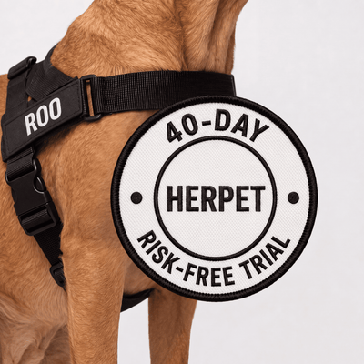 HerPet No Pull Dog Harness