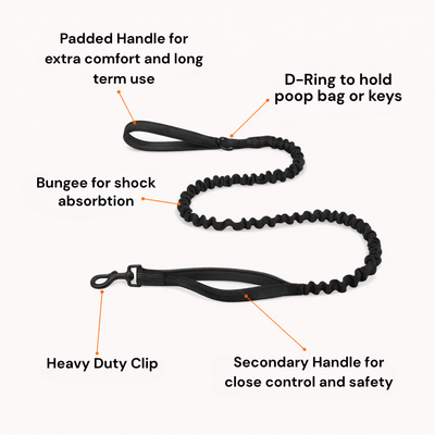 HerPet No Pull Dog Harness