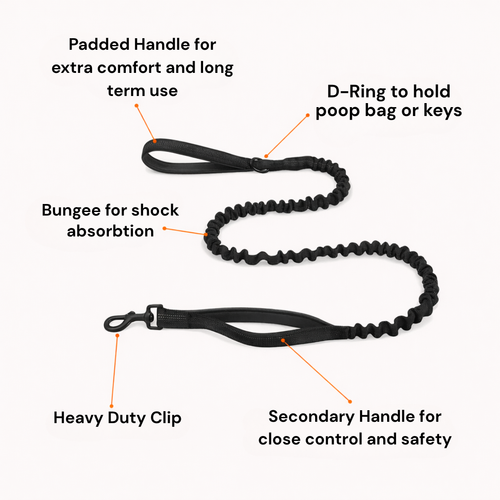 HerPet Bungee Dog Lead