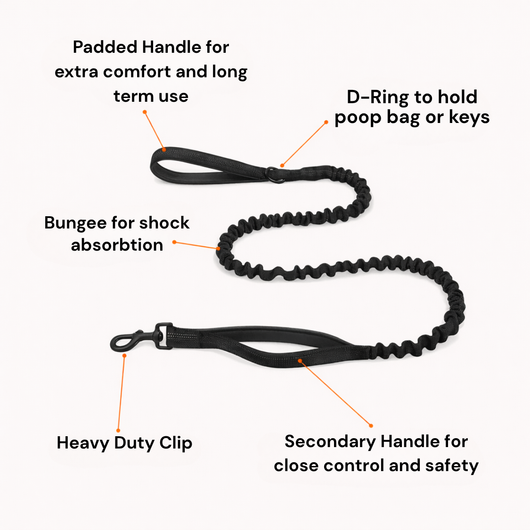 HerPet No Pull Dog Harness